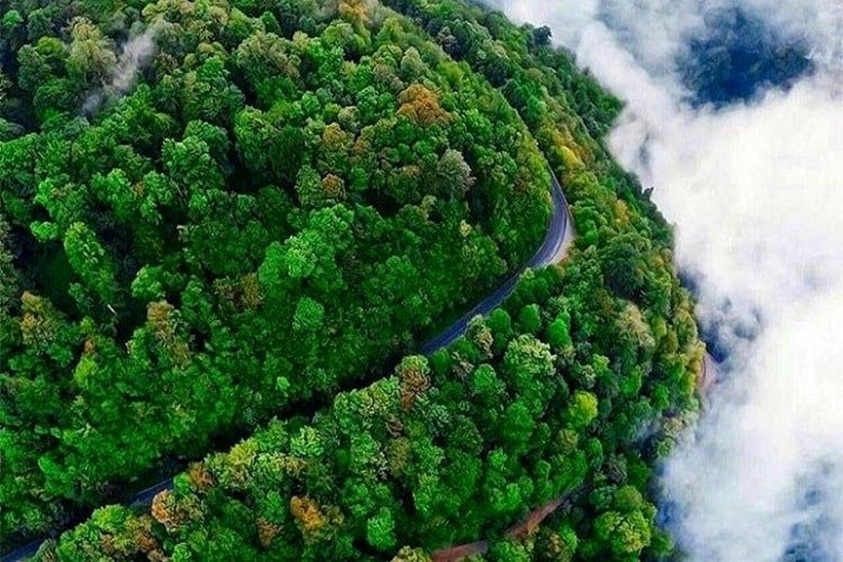 آشنایی با پروژه های شمال کشور